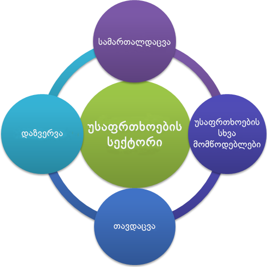 441_Security-Sector-1_Geo.png
